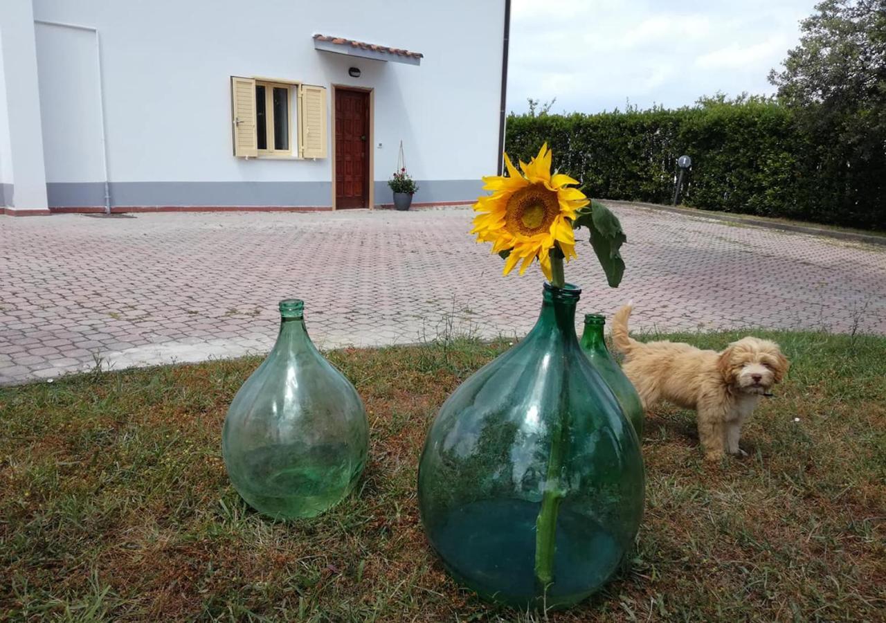 Casa Amrita, Yoga B&B 特拉莫 外观 照片