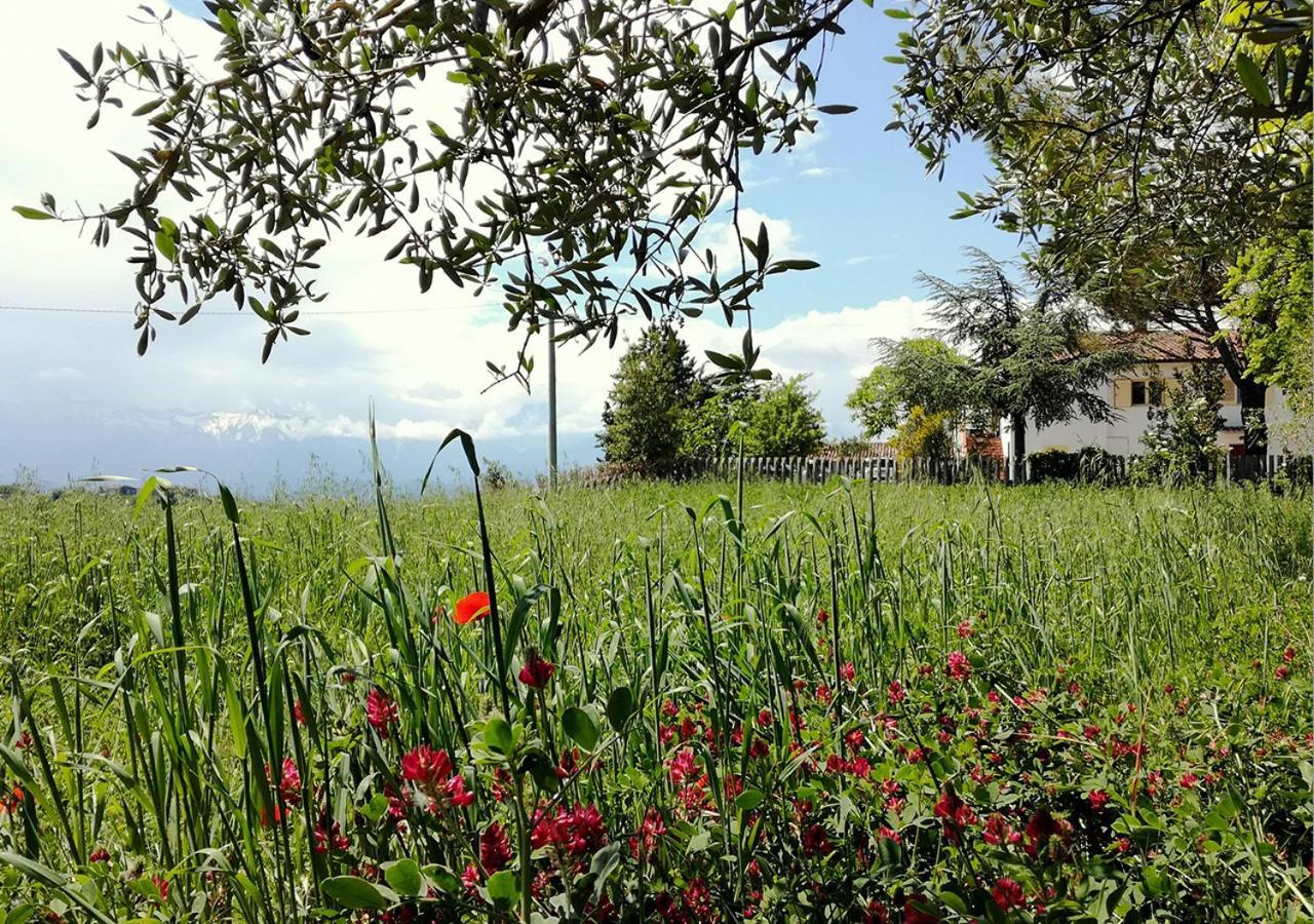 Casa Amrita, Yoga B&B 特拉莫 外观 照片
